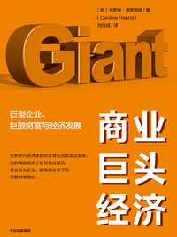 商业巨头经济:巨型企业,巨额财富与经济发展