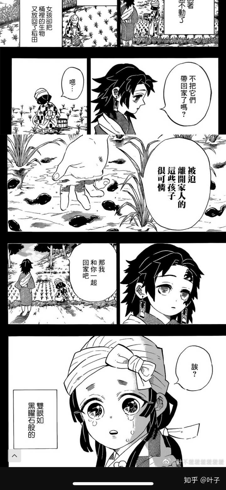 饭圈是否已经进入了鬼灭之刃 知乎 饭圈是否已经进入了鬼灭之刃 知乎