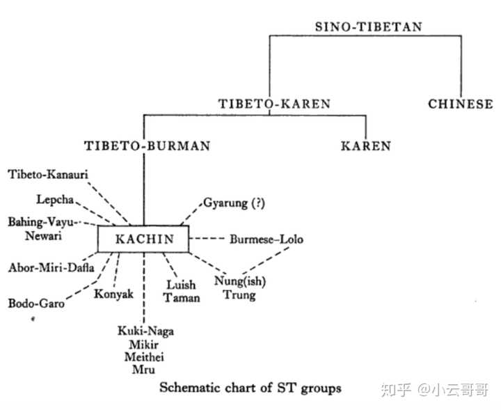 汉语在语言学谱系分类中处于一个怎样的地位