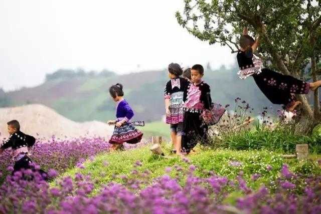 武汉图片全景_武汉图片风景图片_武汉空心菜图片