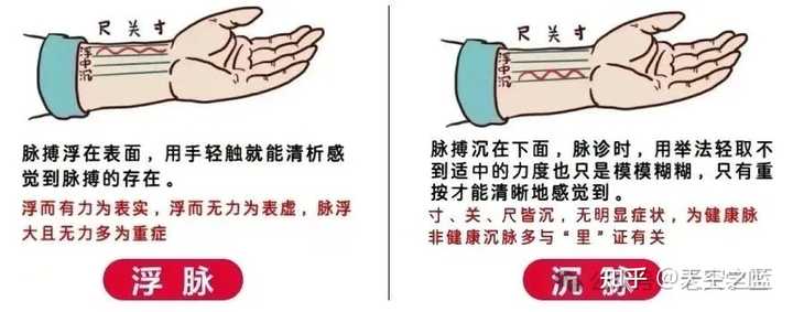 中医的“把脉”是什么原理? - 知乎