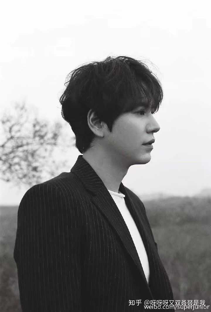 刚刚退伍的主唱:曺圭贤[曺音同曹]