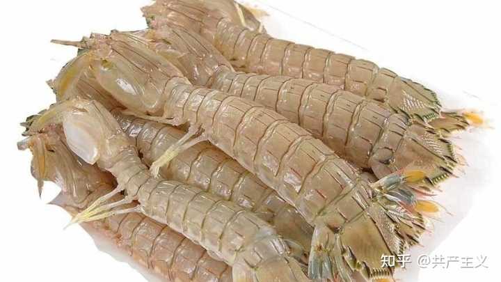 海虾有哪几种？黑一点的会更新鲜？ - 知乎