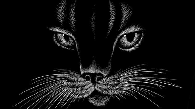 猫眼诡事录:是恶灵作祟还是心术诡计? 每天读点故事