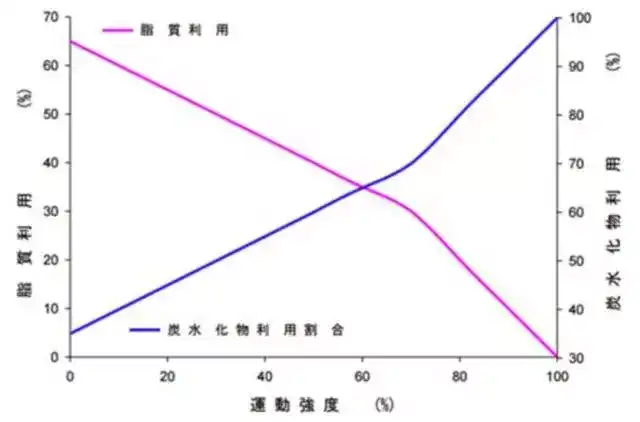 运动减肥_减肥运动最快效果最好方法_减肥运动有哪些