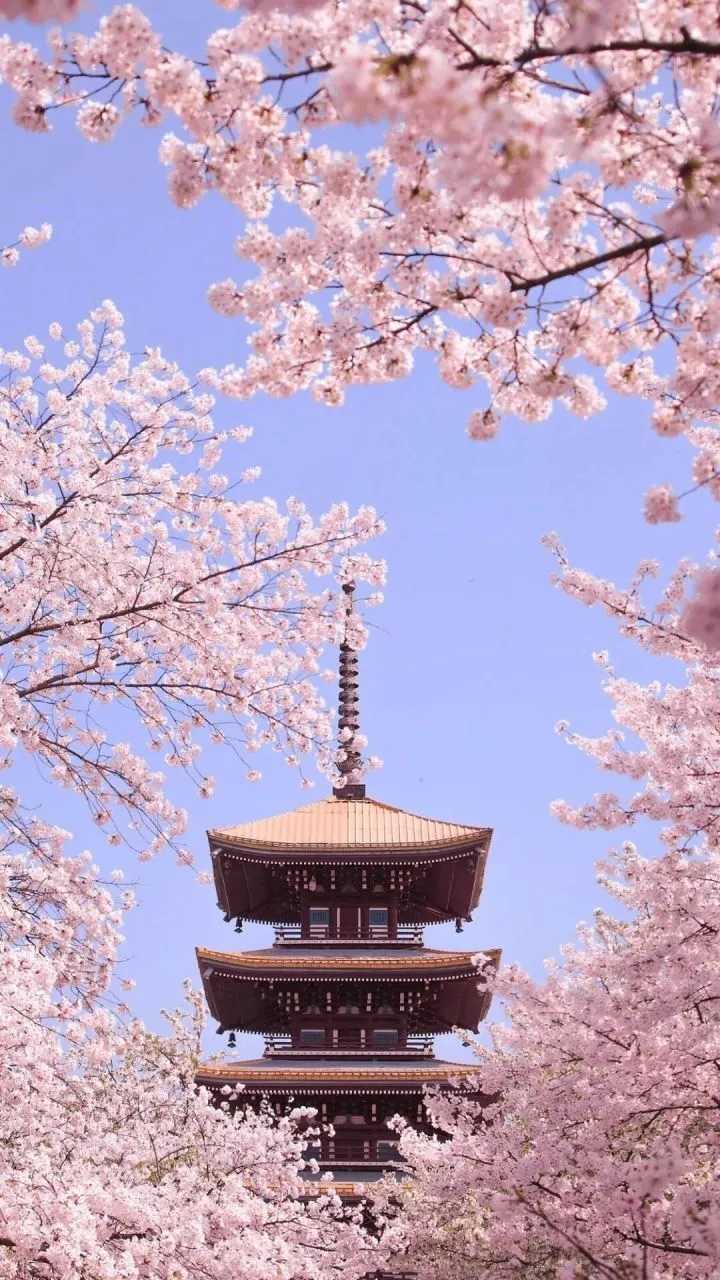 有哪些自己写给对象的情话 知乎