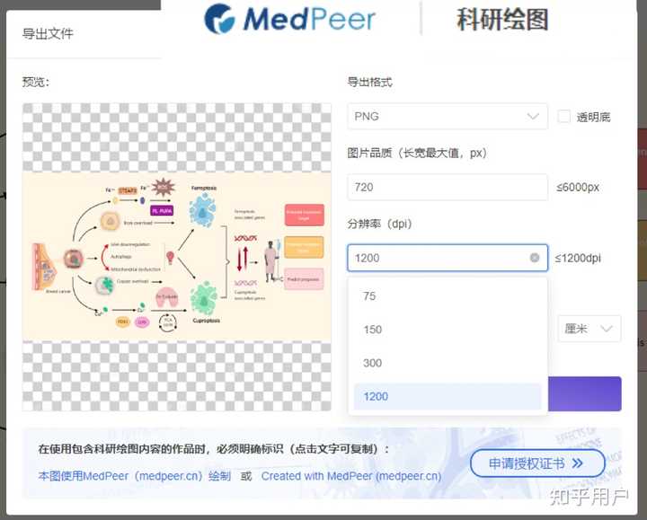 请问各位什么软件可以做出这种SCI论文机制图图片? - 知乎
