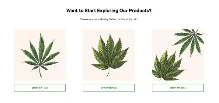 加拿大 大麻合法化 后 会对在加拿大留学的中国学生们产生怎样直接或者间接的影响 知乎 加拿大 大麻合法化 后 会对在加拿大留学的中国学生们产生怎样直接或者间接的影响 知乎