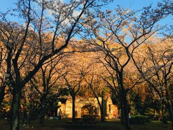 在日本的中央大学怎么样 就读是一种怎样的体验 知乎 在日本的中央大学怎么样 就读是一种怎样的体验 知乎