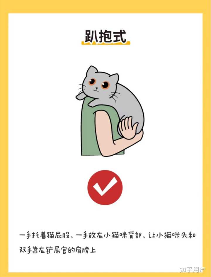 如何抱猫,才是主人最安全且让猫最舒服的姿势? - 知乎