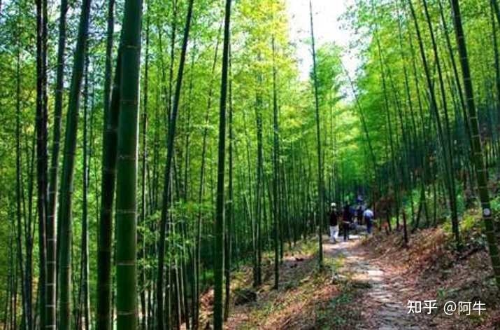 牛头山水库_牛头山水库库容_牛头山水库长度多少