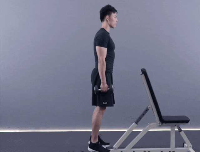 站姿哑铃提踵 20*4组