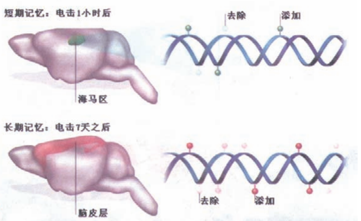 知乎