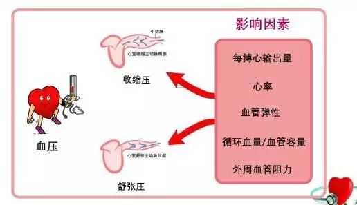 高血压的发生原理是什么? - 知乎