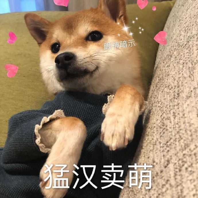 六一雨女无瓜