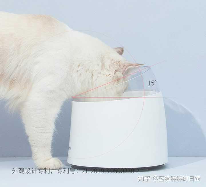 猫咪饮水机 哪些品牌值得入手 知乎 猫咪饮水机 哪些品牌值得入手 知乎