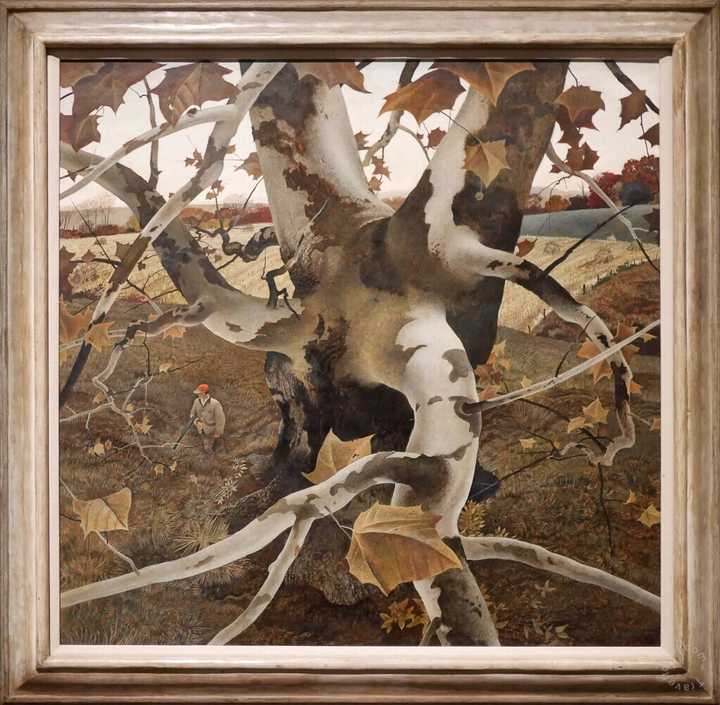 该如何评价艺术家安德鲁·怀斯(Andrew Wyeth)？他的作品有哪些特点以及