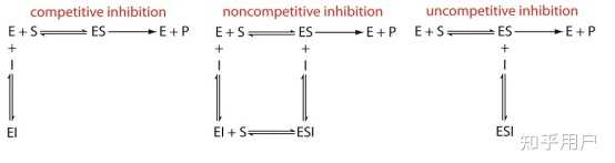 酶的竞争性抑制剂和非竞争性抑制剂有什么区别? - 知乎