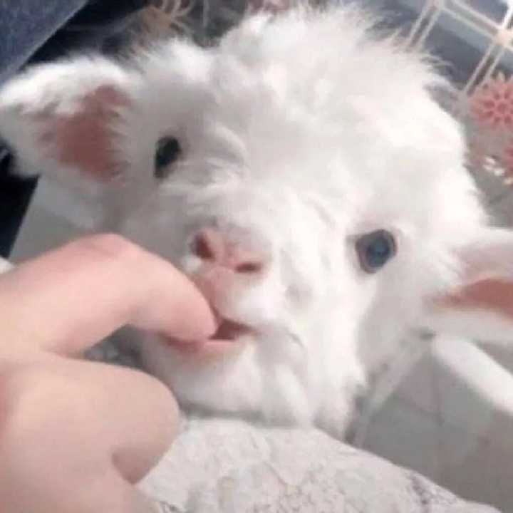 姐妹们你们有哪些好看的耽美文吗 鄯善是条鱼的回答 知乎 姐妹们你们有哪些好看的耽美文吗 鄯善是条鱼的回答 知乎
