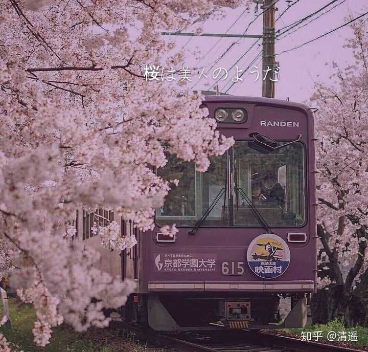 有哪些甜到骨子里的情话?