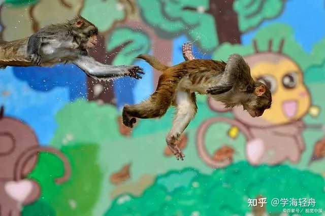 ”树倒猢狲散”比喻精妙,讽刺辛辣,这个成语出自何处? - 知乎