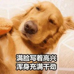 有没有让人笑到头掉的沙雕文案?