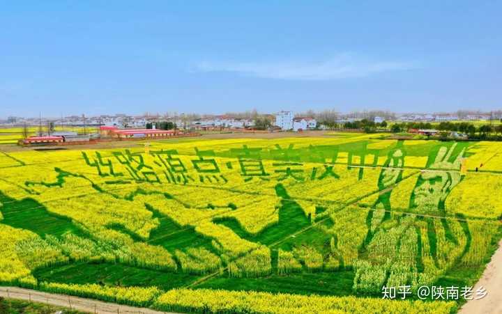 四月份想去汉中看油菜花 求推荐路线和住的地方 还有景点