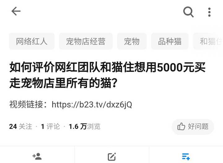 如何评价网红团队和猫住想用5000元买走宠物店里所有的猫 知乎