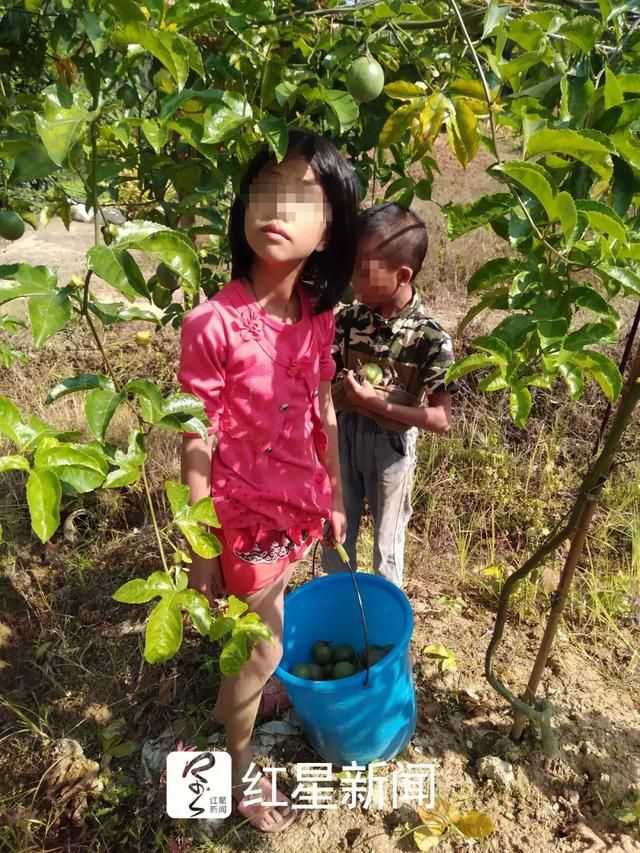 百香果女孩杨晓燕(前)丨家人供图