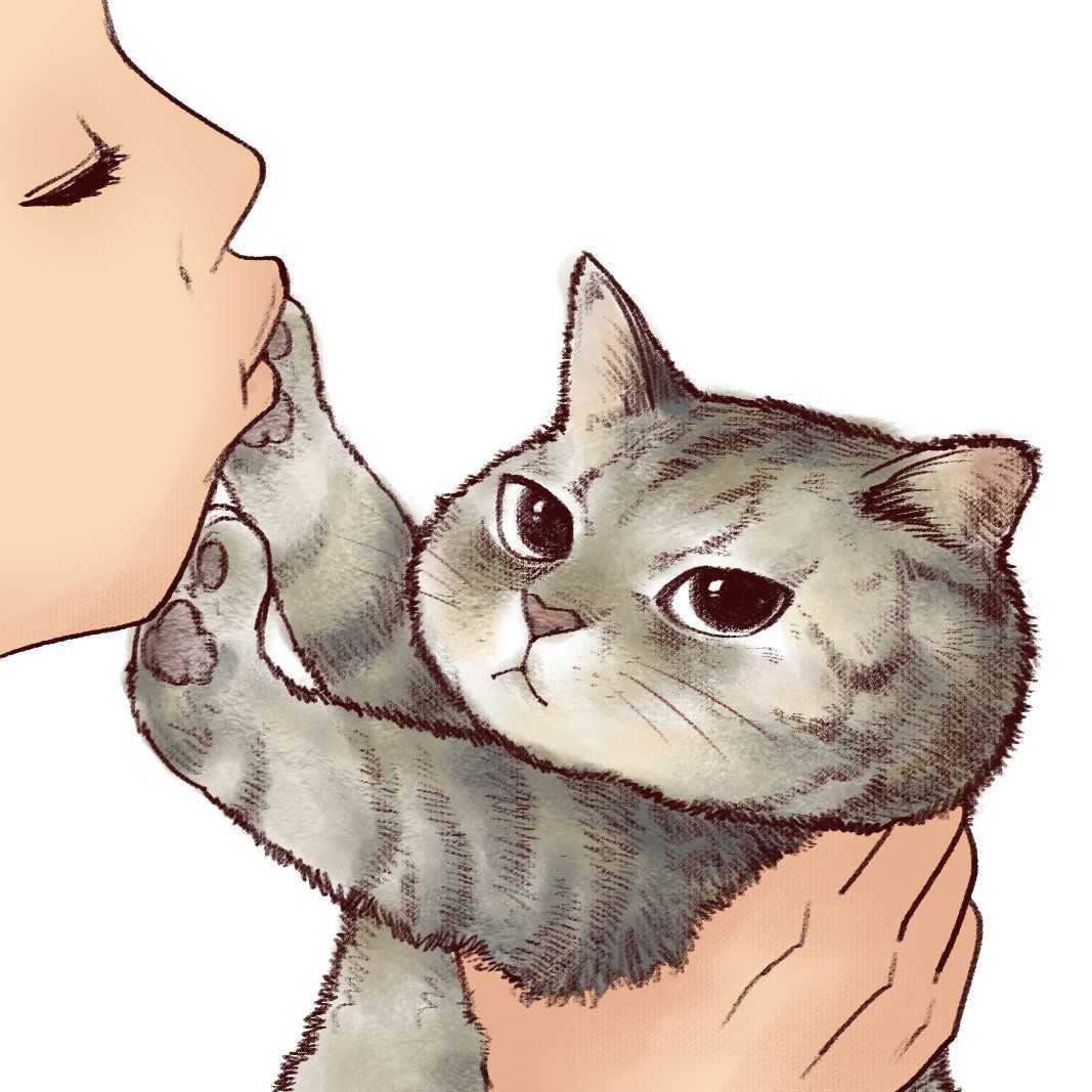 猫头像