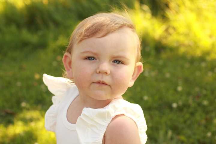 Lily英语培训 Lily英语培训怎么样 Lily英语学费