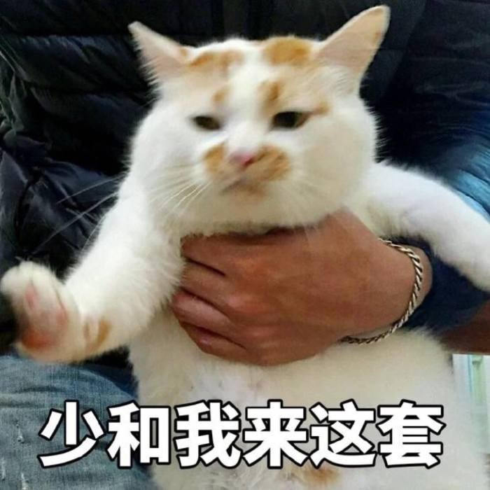 你们觉得经常打猫对吗 知乎