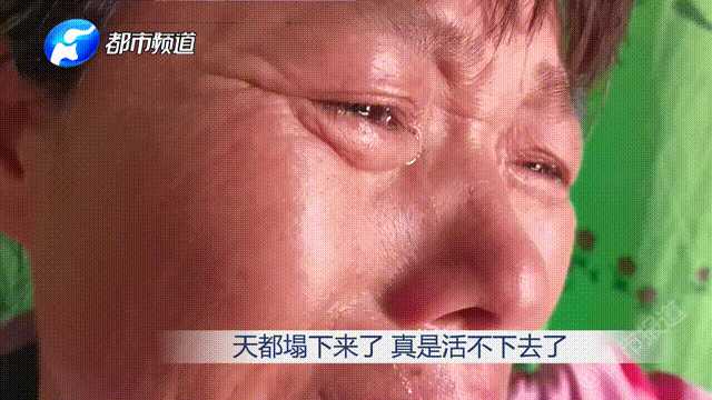 动图封面