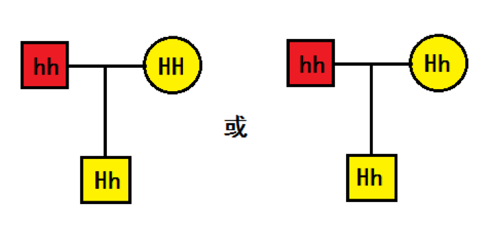 两个o型血的人能生出b型血的孩子吗 知乎