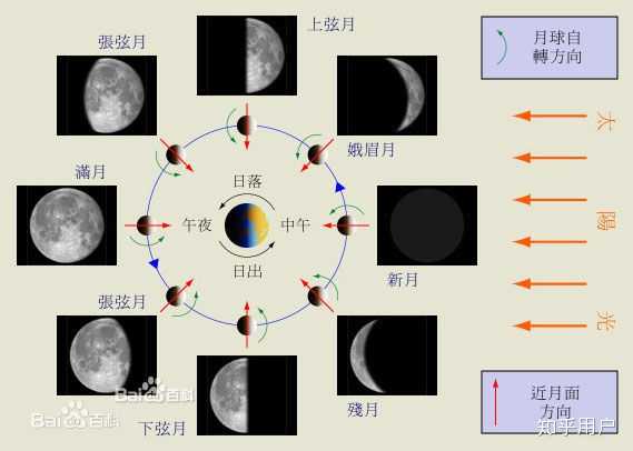 为什么基本每天晚上都能看见月亮? - 知乎