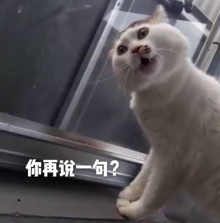 有哪些万能的表情包推荐? - 知乎
