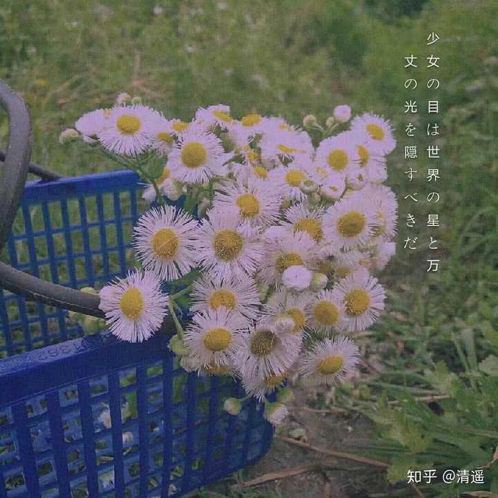 有哪些甜到骨子里的情话?