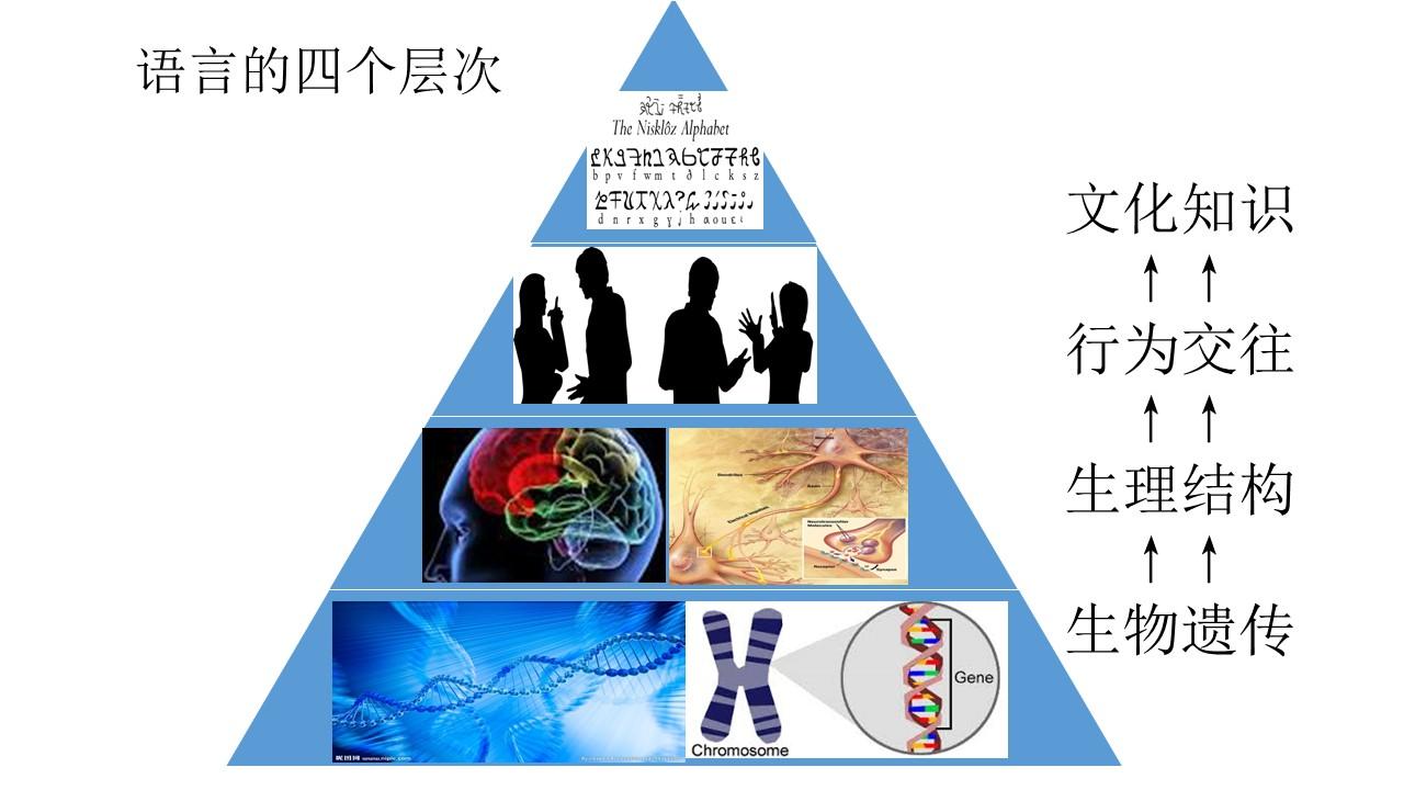 英语口语99全真训练法 之一 知乎