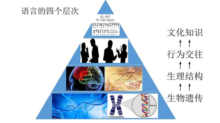英语口语99全真训练法 之一 知乎