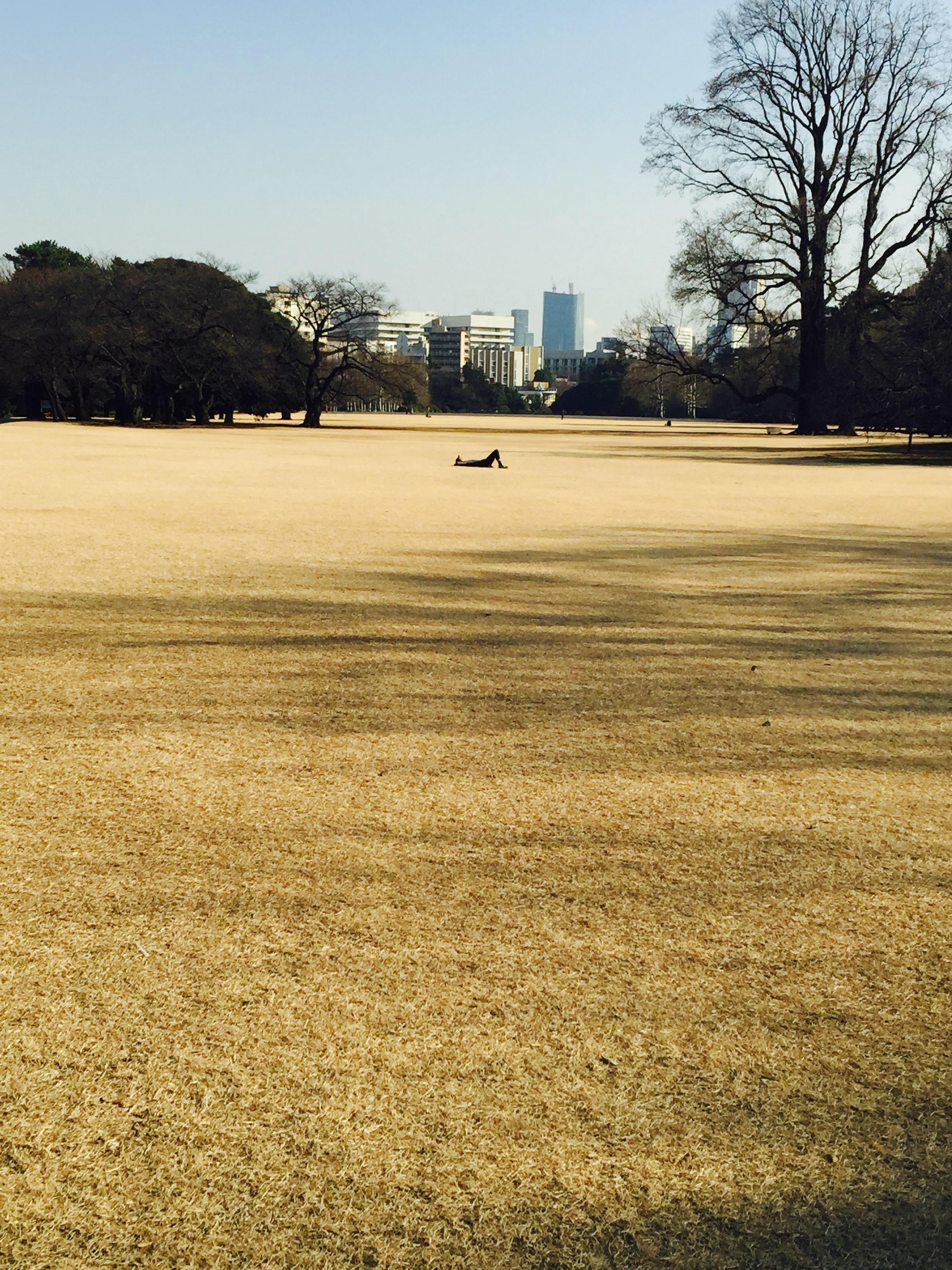 想去日本自由行 是报团还是自己买机票 有什么
