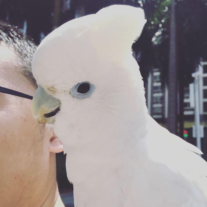 养狗人士常说「我家的狗不咬人」是一种什么心