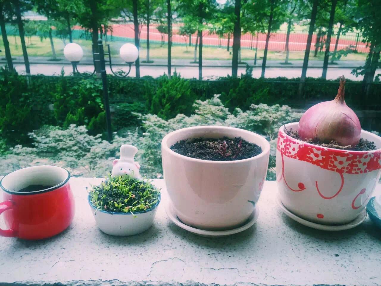 情绪 - 热门问答