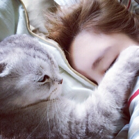 Zhihu profile picture for @taekook