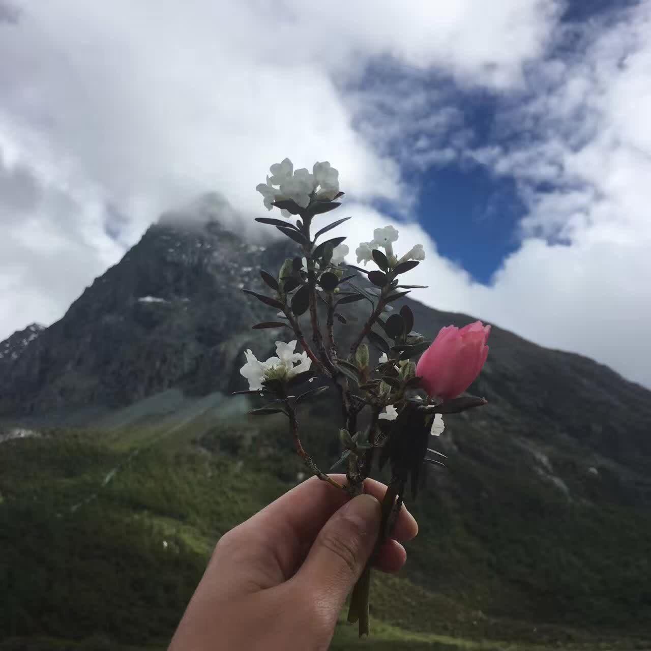 从成都出发去稻城亚丁,穷游,求攻略? - 知乎用户