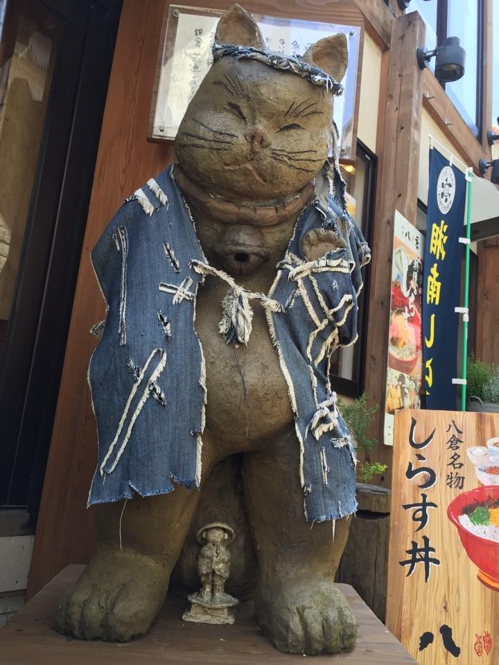 为什么狗打不过猫? - 匿名用户的回答 - 知乎