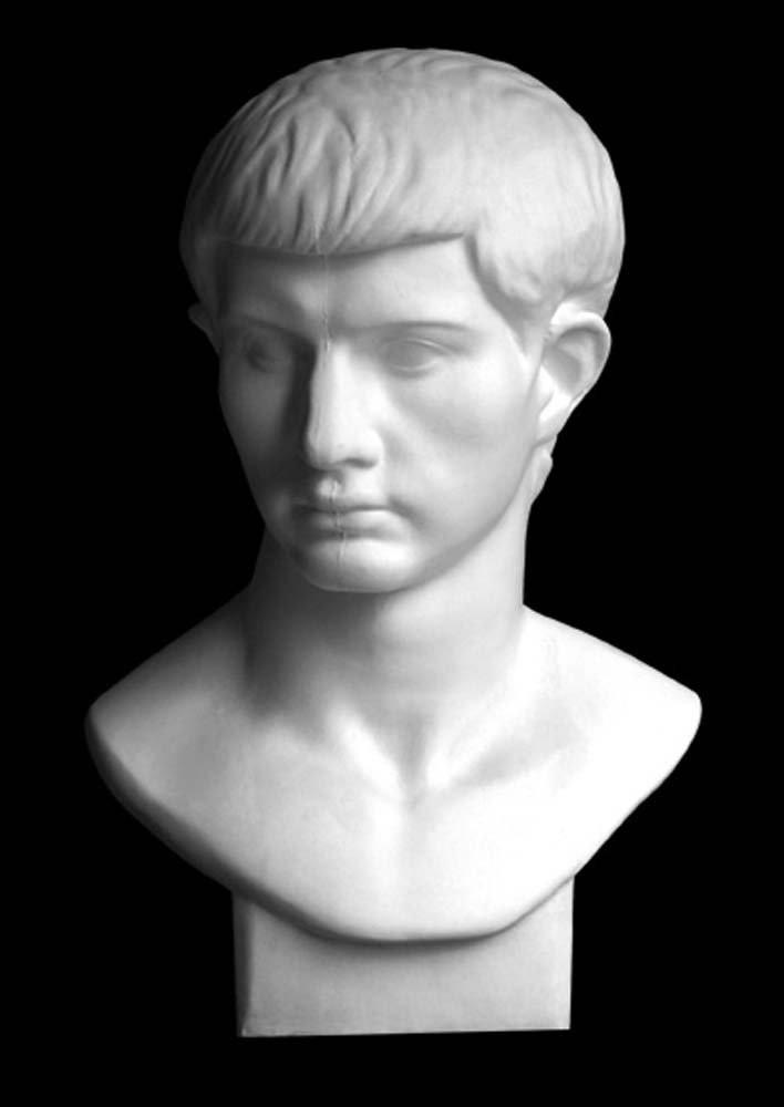 罗马青年石膏像正面图片