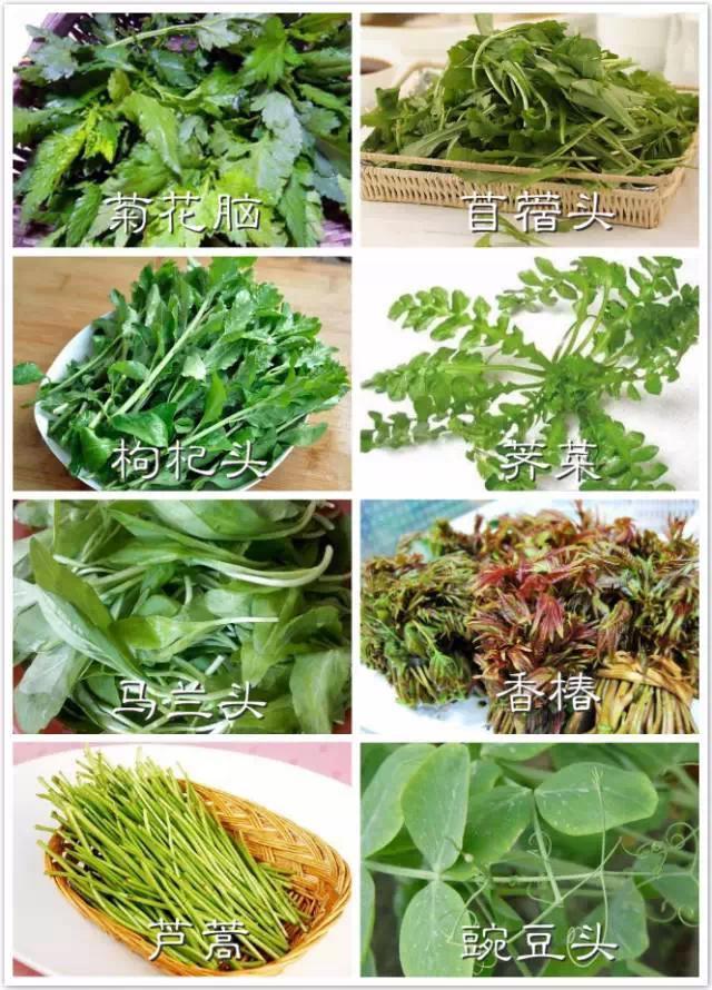 南京人饮食的另一特点是喜欢吃各种野菜,包括芦蒿,菊花脑,马兰头,枸杞