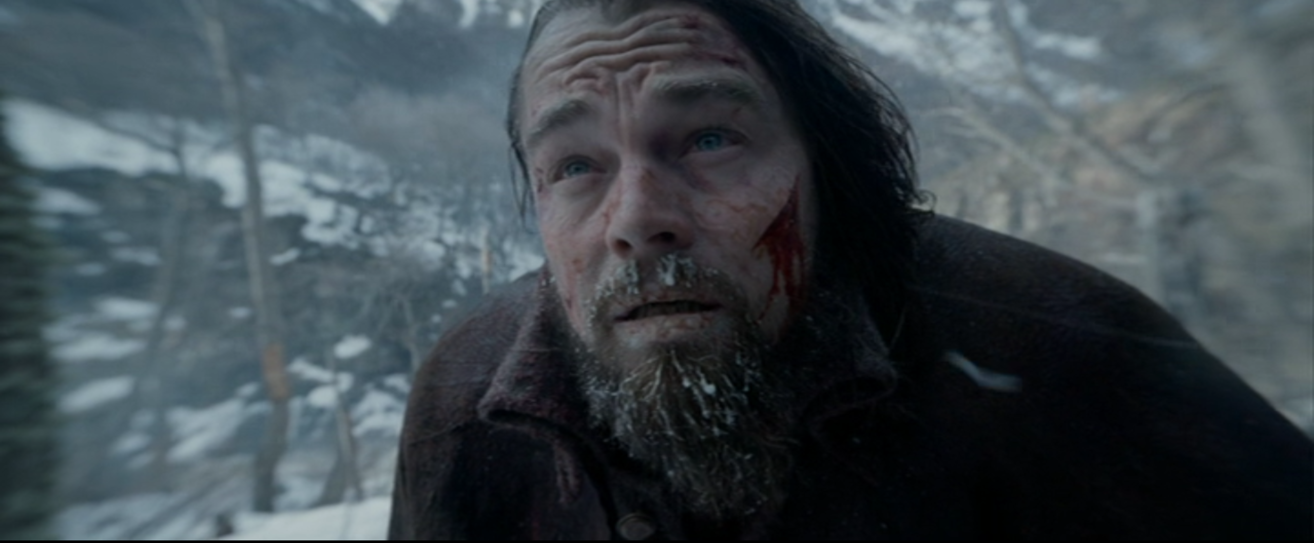 如何评价小李子莱昂纳多在荒野猎人therevenant中的表现