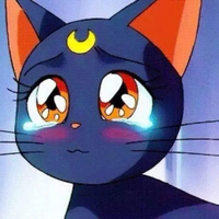 Zhihu profile picture for @mostly