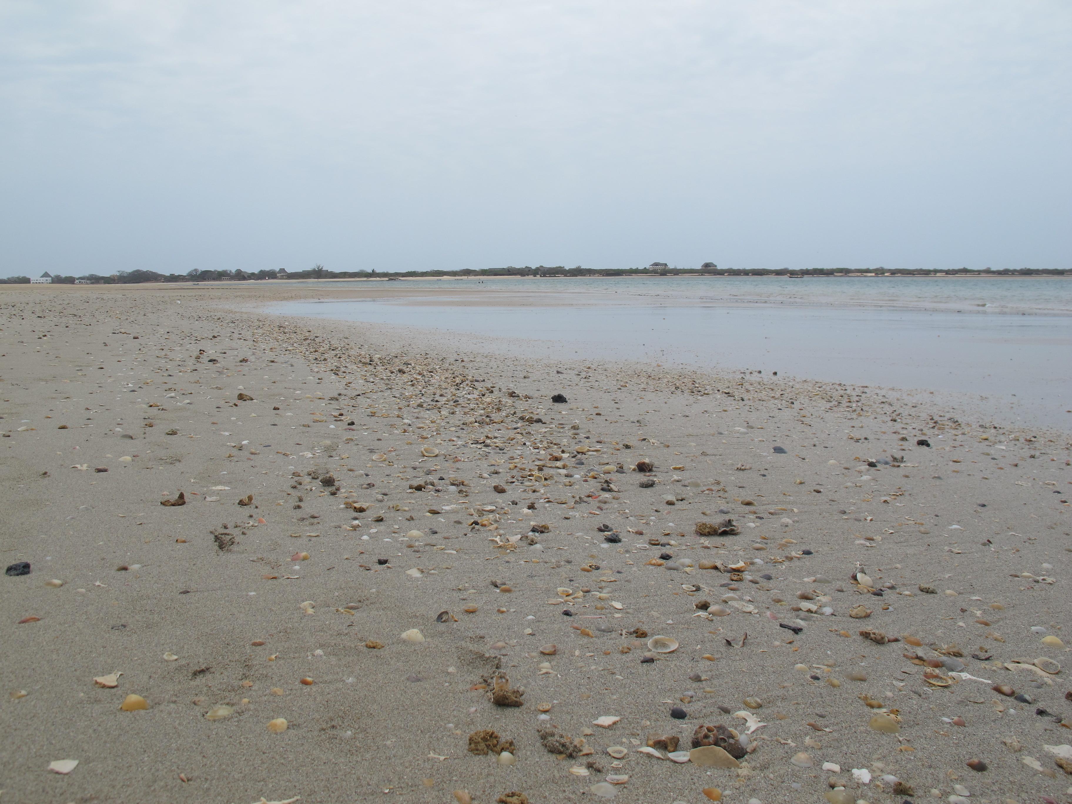 到非洲旅行带 8 岁小朋友同行有哪些需要注意的事项?